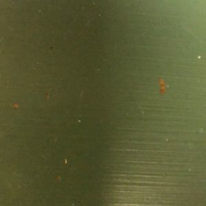 Meet your Posher, Jaime